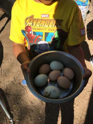Child Care and Early Education